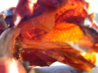 rote Frucht
